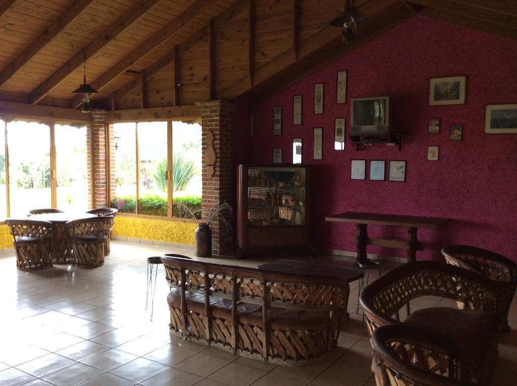 Cabanas La Chicharra Xico 外观 照片